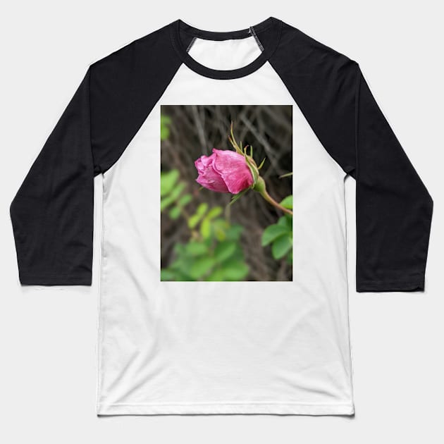 Rosebud Baseball T-Shirt by aeolia